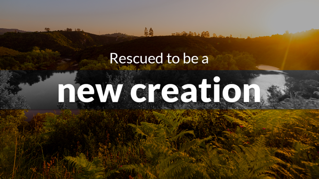 Rescued to be a new creation (Serve)