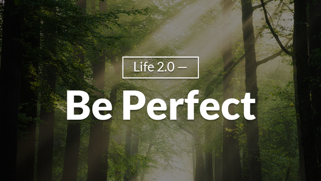 Life 2.0 – Be Perfect